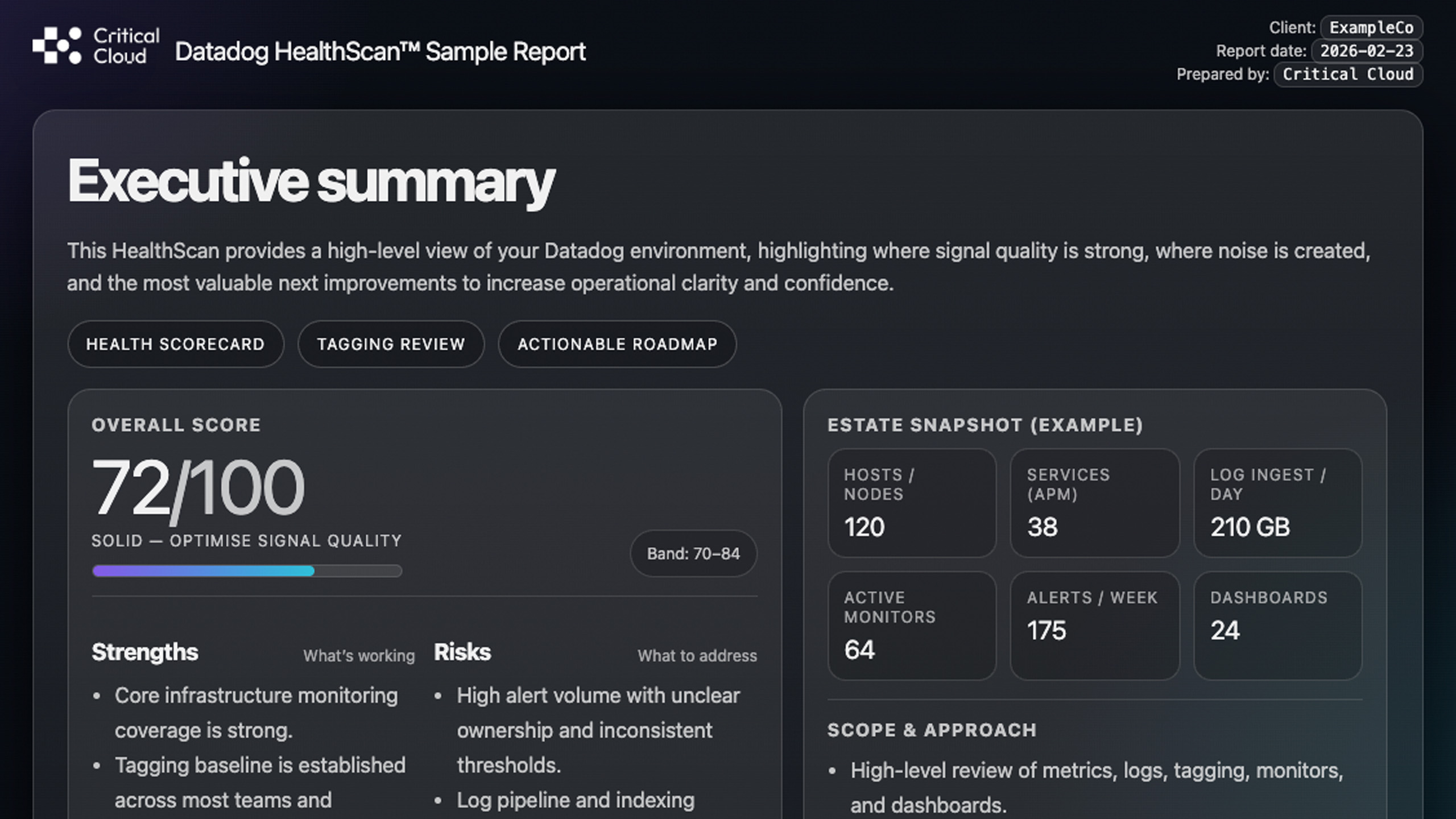 Datadog HealthScan executive summary example
